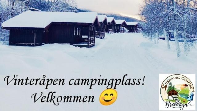 Surnadal Camping Brekkoya Skei  Buitenkant foto