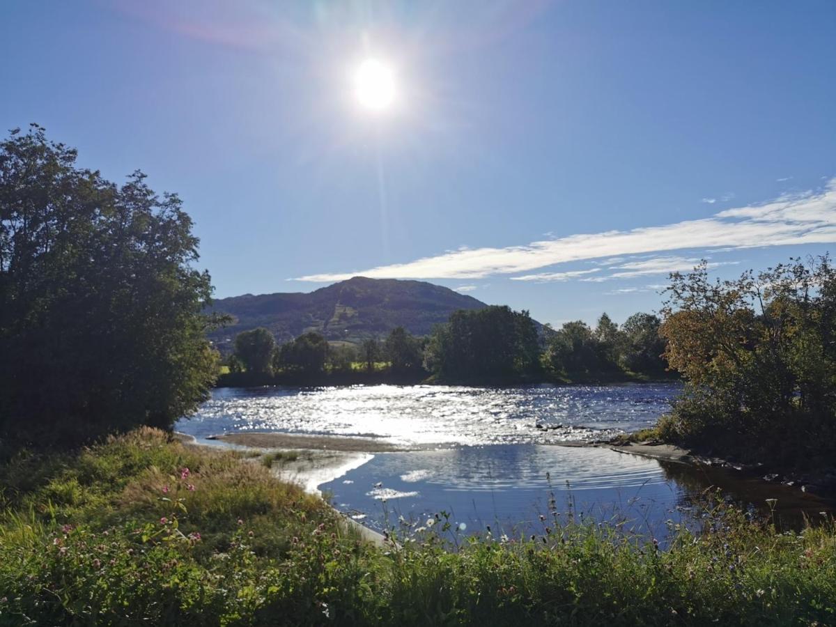 Surnadal Camping Brekkoya Skei  Buitenkant foto
